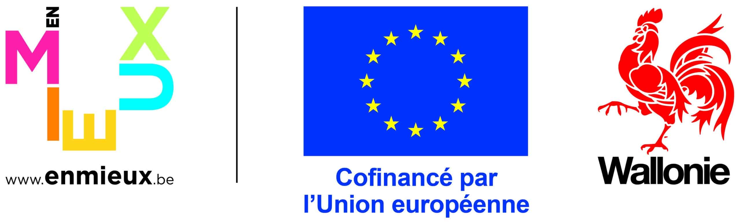 logo_UE+wallonie+FWB+COCOF